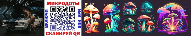даркнет сайт Карпинск Галлюциногенные грибы Psilocybe